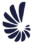 NAUTILE